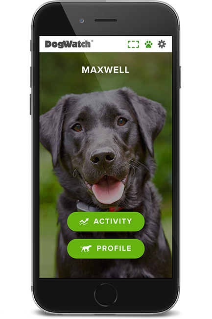 DogWatch of Southeast Wisconsin, Elkhorn, Wisconsin | SmartFence WebApp Image